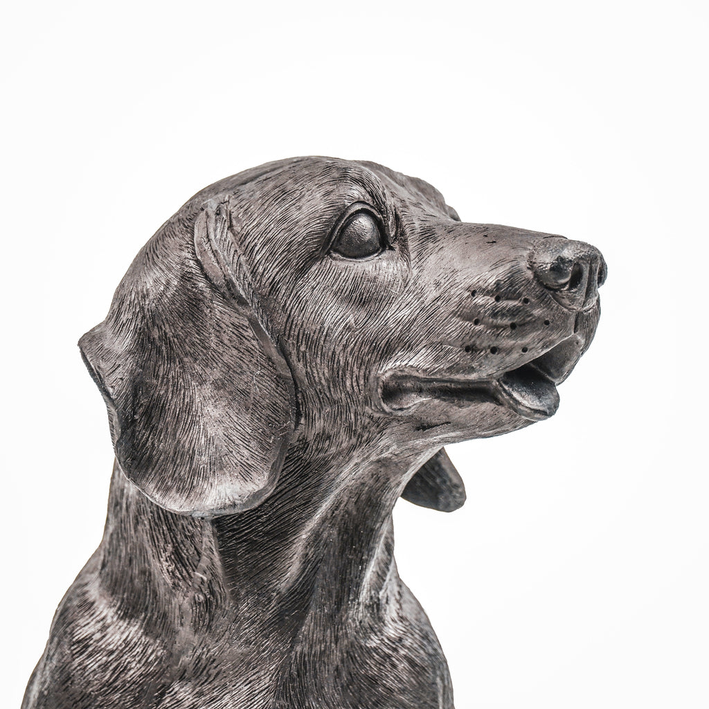 HV Tackle Dog Black - 35x23x19cm